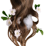 مراقبت از زیبایی مو